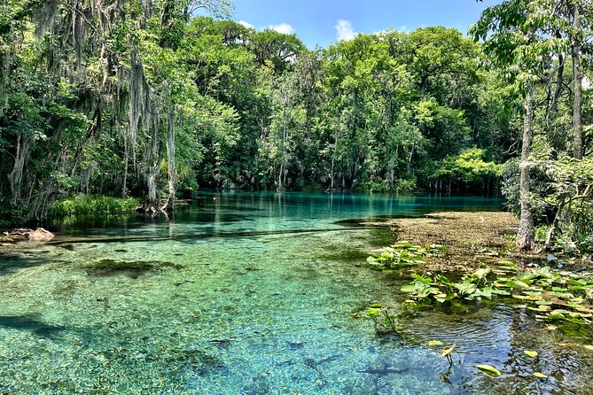 Silver Springs Premium Florida Wildlife Experience! - Who This Tour Best Suits