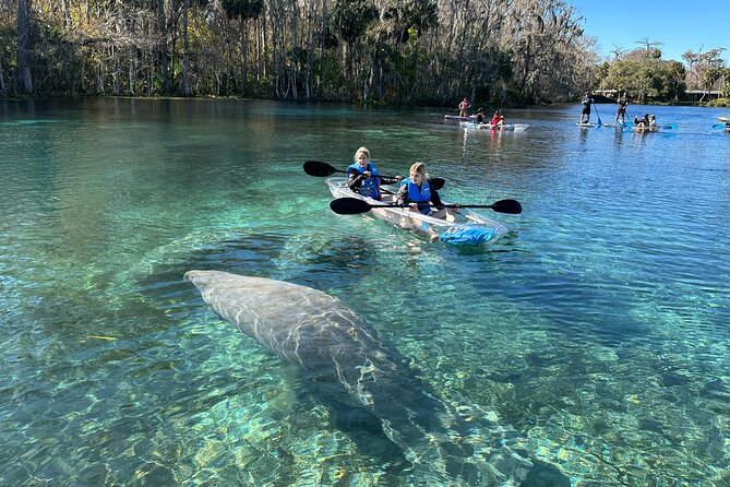 Silver Springs Self Guided Clear Kayak Rentals - Quick Hits Before You Go