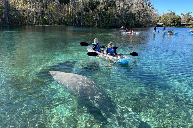 Silver Springs Self Guided Clear Kayak Rentals - King’s Trail: Monkeys Along the Shore and Relics on the Way