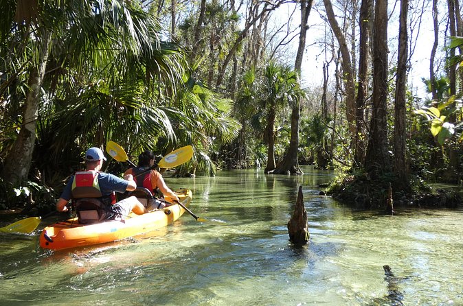 Small Group Rock Springs Run Eco Kayak Adventure - Guides and teaching style: what makes the tour feel personal