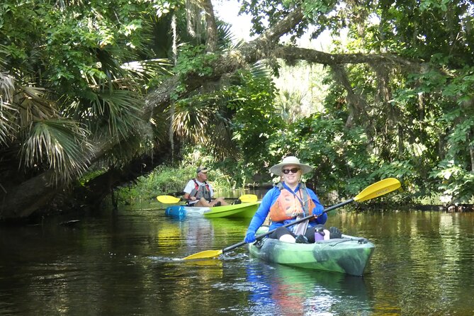 Small Group Scenic Wekiva River Kayak Tour near Orlando - Kayak Down the Wekiva: the 2.5-hour pace you can actually enjoy