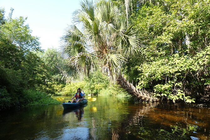 Small Group Scenic Wekiva River Kayak Tour near Orlando - The mid-tour swim break: when the river gives you a reset