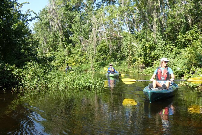 Small Group Scenic Wekiva River Kayak Tour near Orlando - Gear and what’s included in the $80 price