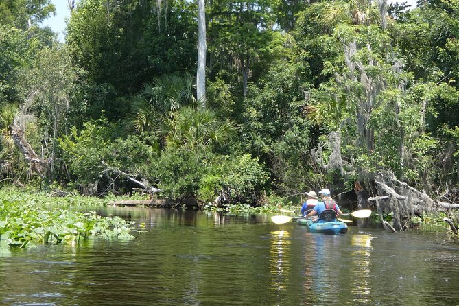 Small Group Scenic Wekiva River Kayak Tour near Orlando - Group size and guide attention: why max 10 is a sweet spot