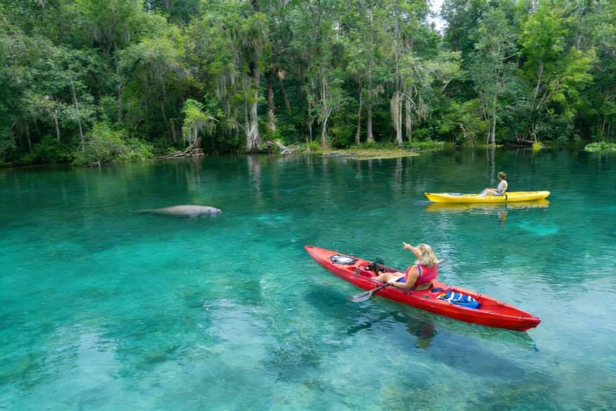 Small Group Silver Springs State Park Day Tour from Orlando - Key highlights you’ll remember from this Silver Springs day tour
