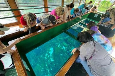 Small Group Silver Springs State Park Day Tour from Orlando - Silver Springs State Park: where the water looks almost too clear