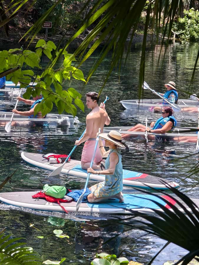 Small Group Silver Springs State Park Day Tour from Orlando - Free time at the park: hike, kayak, or paddle boat on your own rhythm