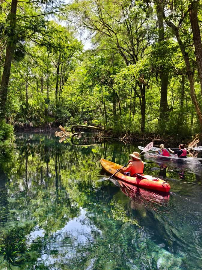 Small Group Silver Springs State Park Day Tour from Orlando - The group size and guide style that make the day feel personal