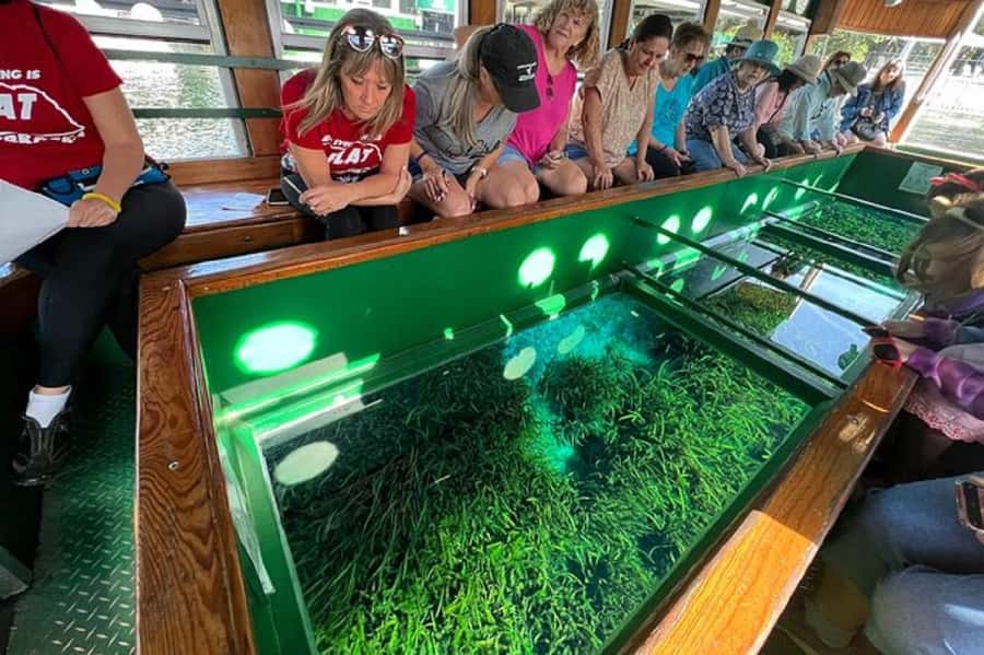 Small Group Silver Springs State Park Day Tour from Orlando - Timing: how the schedule affects your day decisions