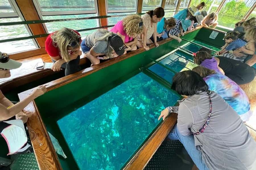 Small Group Silver Springs State Park Day Tour from Orlando - Silver Springs State Park: where the water looks almost too clear