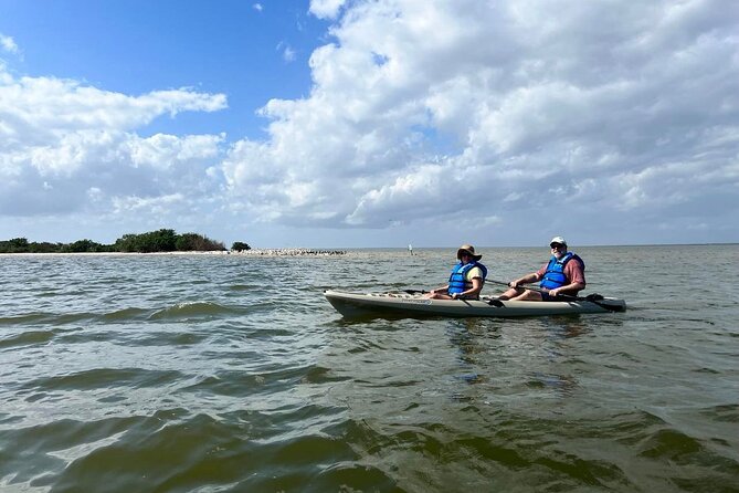 Space Coast Manatee & Coastal Wildlife Kayak Tour - Key Highlights You’ll Care About