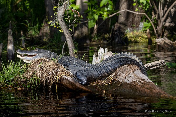 St. Johns River Lunch and Dinner Cruises in Sanford, Florida - Live music and the service vibe on the Barbara-Lee