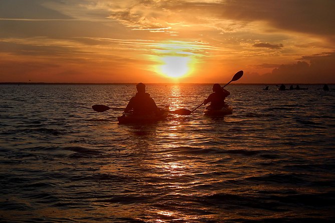 Sunset Bioluminescence Tour - Key things to know before you go