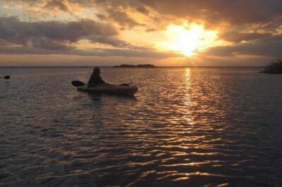 Sunset Bioluminescence Tour - The 2-hour paddle plan: birds by golden light, glow in the water
