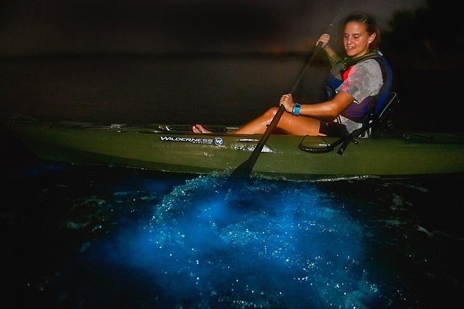 Sunset Bioluminescence Tour - Bioluminescence expectations: how to set your sights for a good night