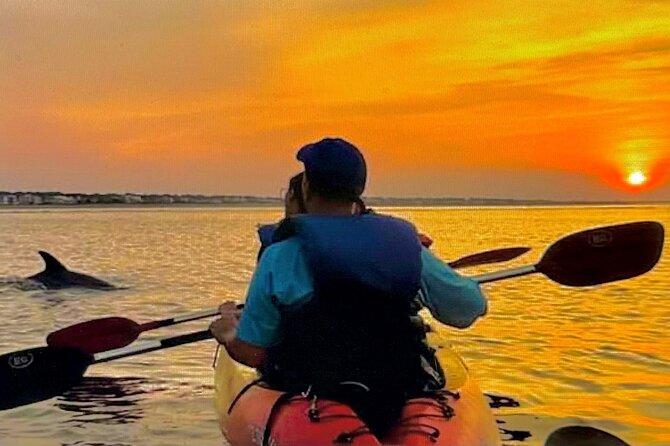 Sunset Bioluminescent Comb Jelly & Dolphin Tour - Key highlights you’ll care about