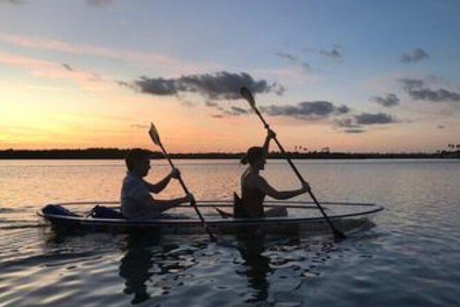 Sunset Clear Kayak or Paddleboard in Orlando - Sunset on Lake Ivanhoe: A Calm Slice of Orlando You Can See Through