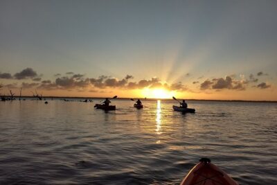 Sunset kayaking tour at Manatee Cove with Manatee & Dolphin sightings - Kayaks, life jackets, and how your guide runs the paddle