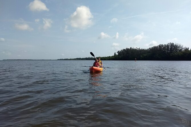 Sunset kayaking tour at Manatee Cove with Manatee & Dolphin sightings - The mangrove ecosystem and the island stop that breaks up the sunset