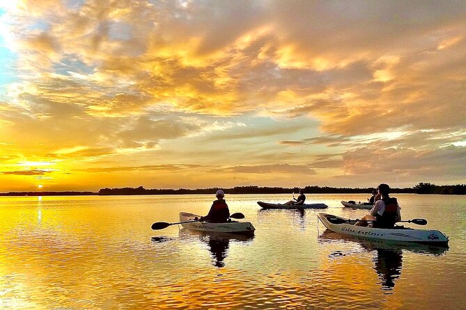 Sunset Tour Mangrove, Dolphins, Manatee #1 Rated in Cocoa Beach - Key highlights I’d plan around