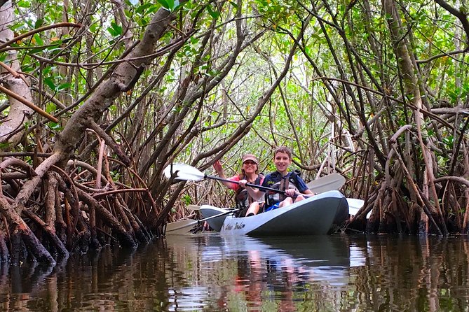 Sunset Tour Mangrove, Dolphins, Manatee #1 Rated in Cocoa Beach - Why Cocoa Beach at sunset changes the whole experience