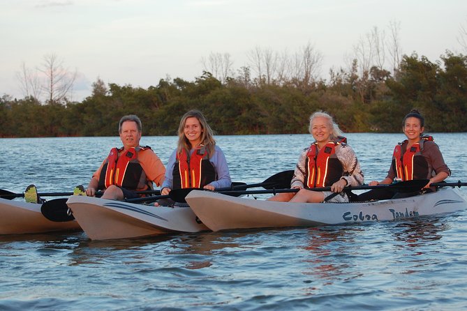 Sunset Tour Mangrove, Dolphins, Manatee #1 Rated in Cocoa Beach - Timing, weather, and how to prepare without overthinking
