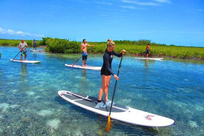 SUP Paddleboard Lesson and Tour - Port Canaveral & Cocoa Beach - Key Highlights at a Glance
