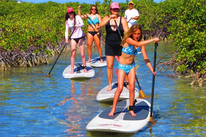 SUP Paddleboard Lesson and Tour - Port Canaveral & Cocoa Beach - Price and Value: Is $95 Worth It?