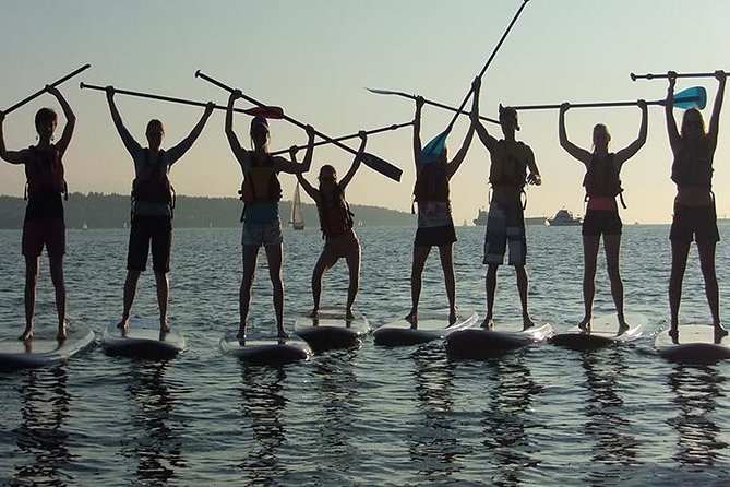 SUP Paddleboard Lesson and Tour - Port Canaveral & Cocoa Beach - The Wildlife Factor: Dolphins and Manatees, Without the Fantasy