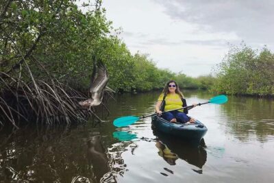 Thousand Island Mangrove Tunnel, Manatee & Dolphin Kayak Tour w/Cocoa Kayaking - Gliding through mangrove tunnels: what that 2 hours 30 minutes feels like