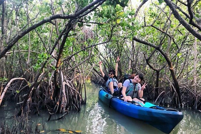 Thousand Island Mangrove Tunnel, Manatee & Dolphin Kayak Tour w/Cocoa Kayaking - Small-group guiding and photo-taking: why people rave about guides like James and Ian