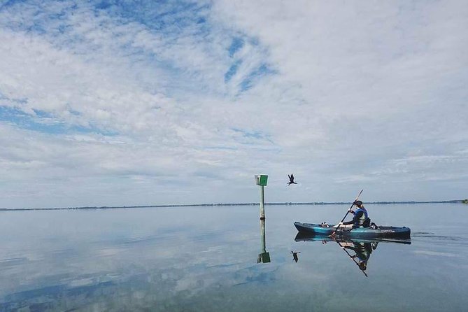 Thousand Island Mangrove Tunnel, Manatee & Dolphin Kayak Tour w/Cocoa Kayaking - Who should book Cocoa Kayaking’s Thousand Islands mangrove tunnel tour?
