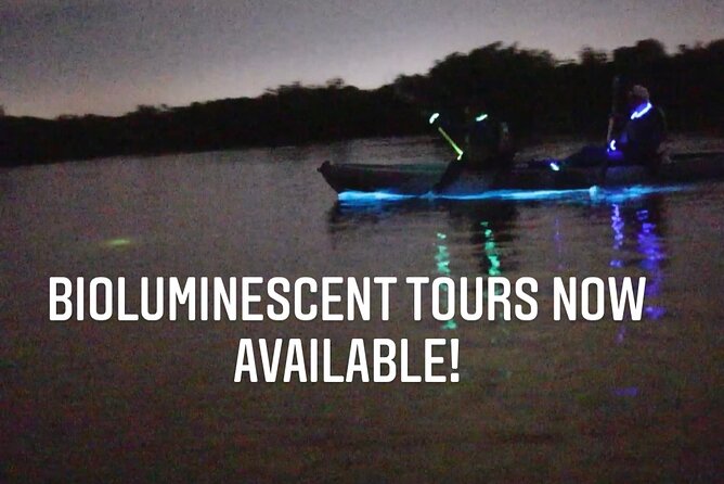 Thousand Islands Bioluminescent Kayak Tour with Cocoa Kayaking! - The Kayak Portion: Paddling Through the Thousand Islands of Coach Beach