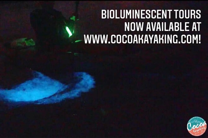 Thousand Islands Bioluminescent Kayak Tour with Cocoa Kayaking! - The Main Event: When the Water Starts to Glow