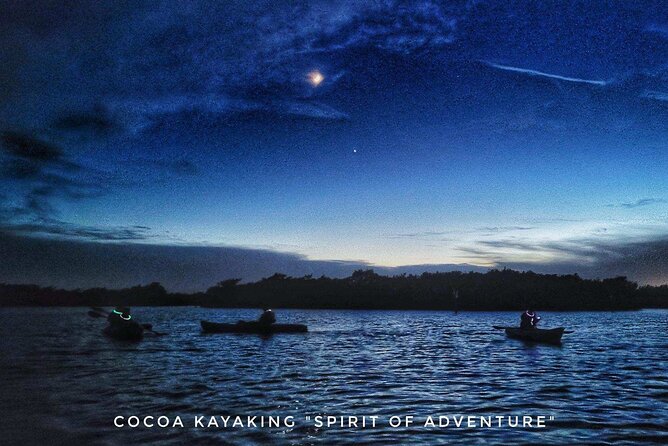 Thousand Islands Bioluminescent Kayak Tour with Cocoa Kayaking! - Wildlife Chances: Dolphins, Fish, and an Alligator
