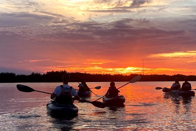 Thousand Islands Mangrove Tunnel & Bio Comb Jelly Sunset Tour - Gear, Dry Bags, and Life Jackets: What You’re Given