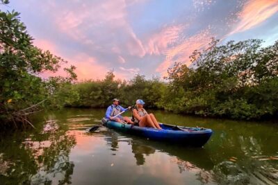 Thousand Islands Mangrove Tunnel & Bio Comb Jelly Sunset Tour - Getting There at 5000 Tom Warriner Blvd and What Check-In Feels Like