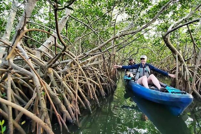 Thousand Islands Mangrove Tunnel Kayak Tour with Cocoa Kayaking! - Key Highlights You’ll Care About