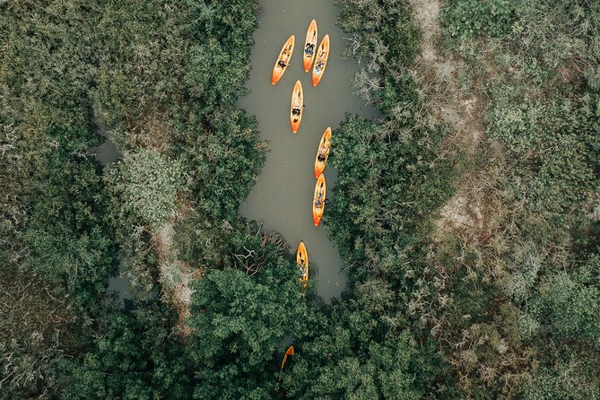 Thousand Islands Mangrove Tunnel Kayak Tour with Cocoa Kayaking! - Price and Value: Is $125 a Good Deal Here?