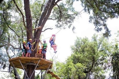 Treetop Express Zip Line Tour with 5 Zip Line Flights & 2 Sky Bridges Included - Getting ready at the course: the practice zip that reduces nerves