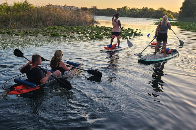 Urban Clear Kayak or Paddleboard in Paradise: Morning/Night - The 2-Hour Flow on Lake Ivanhoe: Lesson, Guided Paddle, Photos