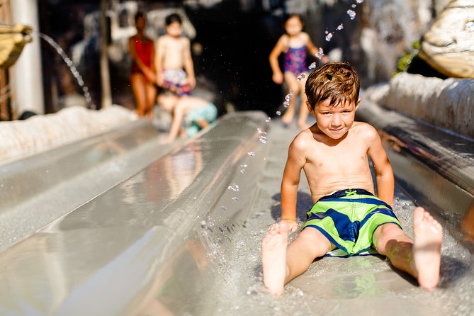 Walt Disney World Orlando Water Park Tickets - Blizzard Beach (when it’s operating): big drops, racing slides, and the kid zones