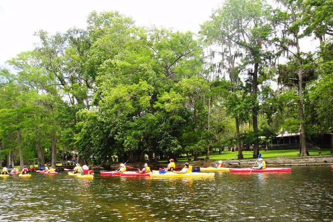 Wekiva River Guided Kayak Tour - Why the small group size matters (a lot) on water