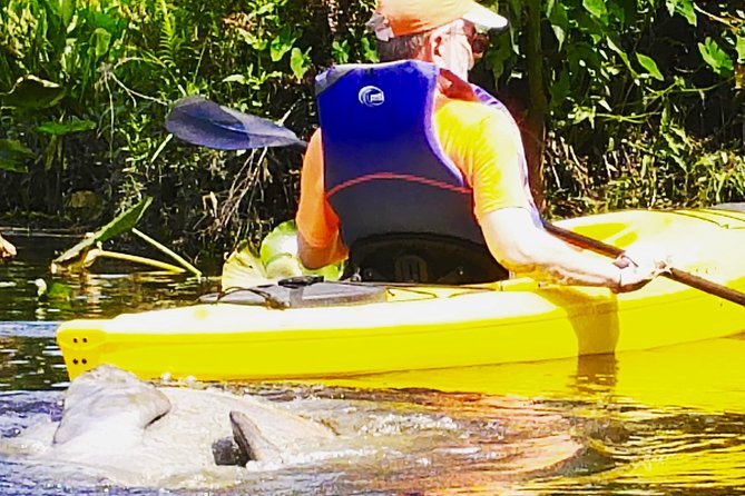 Wekiva River Guided Kayak Tour - Lunch on the river: what’s included and how to plan for food needs