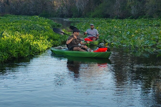 Wekiva Wildlife Kayaking Adventure Tour - Price and Value: Why $55 Makes Sense for This Kind of Trip
