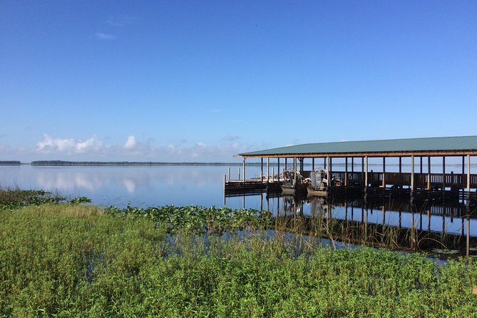 Wild Florida Adventure Package Tour with Hotel Pickup & Lunch - How long you’ll really have at the park: timing realities