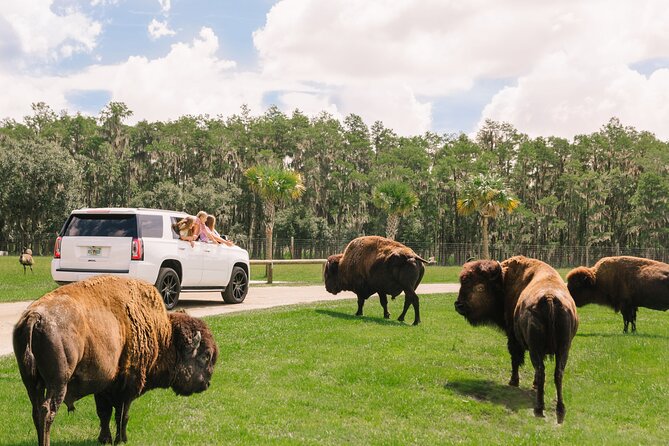 Wild Florida Drive-Thru Safari and Gator Park Admission - Getting to Wild Florida: hours, location, and what to expect on arrival