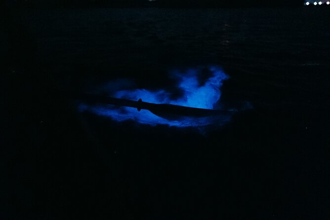 Wildlife Refuge Bioluminescent Kayak or Paddleboard Tour! - Paddling Through Cocoa Beach’s Thousand Islands at Night
