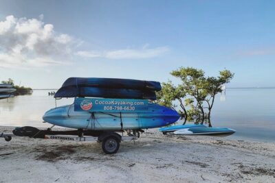 Wildlife Refuge Dolphin, Manatee & Mangrove Kayak or Paddleboarding Tour! - Booking Choice: Kayak or Paddleboard (And Why It Changes Your Trip)