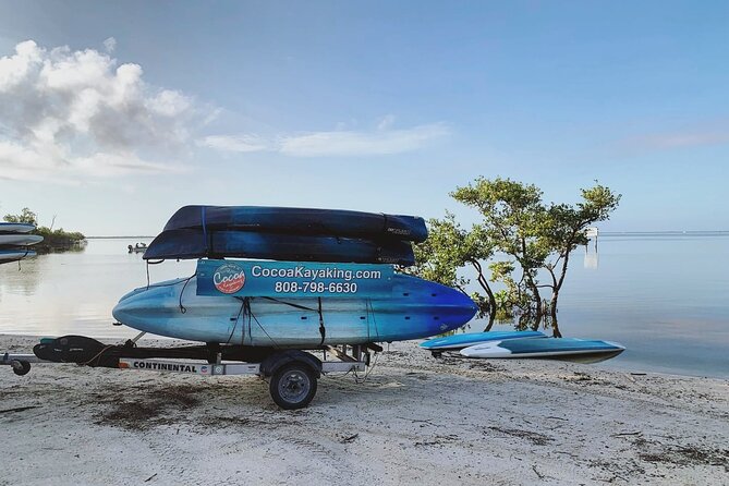 Wildlife Refuge Dolphin, Manatee & Mangrove Kayak or Paddleboarding Tour! - Booking Choice: Kayak or Paddleboard (And Why It Changes Your Trip)